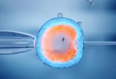 淄博试管婴儿费用明细，淄博做一次全套试管技术大概花多少钱？