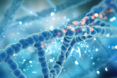 佛山试管婴儿费用需要多少钱？费用明细分享