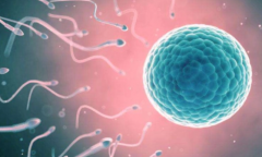 2026年在安阳做第三代试管婴儿生孩子的整体费用解析