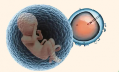 2026年天津做试管婴儿三代全部费用解读：总价约8-15万