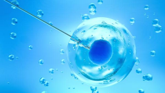 2026年在枣庄做试管婴儿大概花费多少钱一次