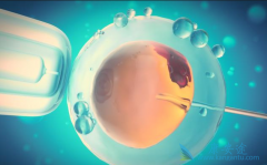 2026年在西安做三代试管生孩子价格多少钱一次？