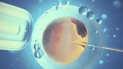 2026年合肥做三代试管婴儿费用：总体算下来约7-15万