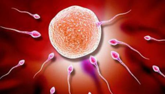 盐城第一/二/三代试管婴儿费用总结