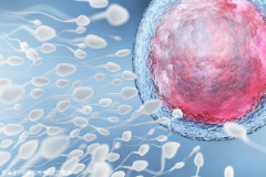 常州第三代试管婴儿费用明细公布，需要花哪些钱？