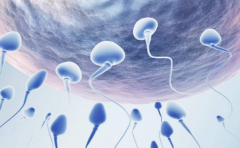 苏州做试管婴儿技术的预算要多少钱？费用明细参考