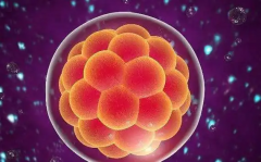 2026年郑州做试管助孕生孩子的费用需准备多少，附含明细标准