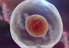 苏州做试管婴儿的预算费用需要多少钱？详细费用清单发布