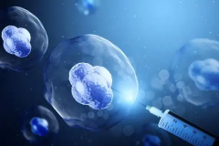 2026杭州做试管婴儿要花多少钱？，检查/促排/手术等相关费用总结