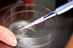 宁夏第三代试管婴儿技术价格多少钱，费用明细概览