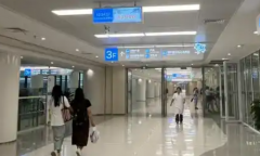 2026广东湛江试管婴儿私立医院选哪家？医院详细对比