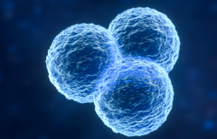 辽宁第三代试管婴儿的费用大概是多少，大约需要3-8万不等