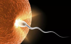 大连做试管婴儿的全部费用大概多少 | 大连做试管总收费约3-8万