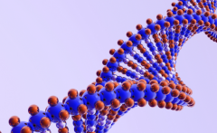 夫妻双方轻度地贫做试管三代成功率有多少?