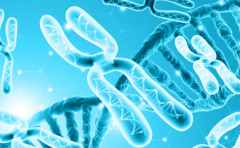 三代试管囊胚可以提前筛选染色体异常的出来吗?