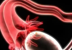 你不了解的长方案优势在这里，降调促排都靠它