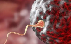 大同试管婴儿私立医院十大排名，附正规医院名单一览