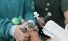 河北省10大助孕机构排名前十有哪些，唐山助孕公司