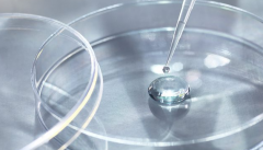 2026江苏十大助孕机构，无锡市成功率比较高的助孕公司盘点