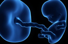 浙江杭州三代试管助孕机构费用明细全曝光，在国内属于什么水平？