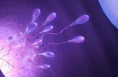 沈阳市三代试管助孕费用明细曝光，价格透明