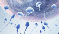 遵义助孕公司排名丨遵义值得信赖的助孕机构