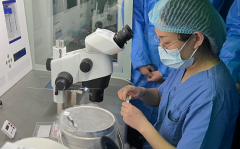 香港做三代试管婴儿最好的医院排名榜-香港三代试管医院榜单前五