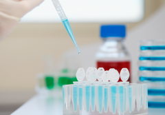 2026年广东省广州市最大助孕机构权威排行榜