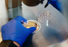 江苏三代试管助孕生孩子费用明细，附江苏做试管婴儿具体花费清单