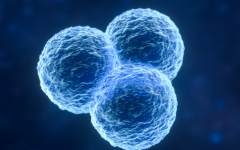 2026年在浙江杭州市做三代试管助孕大概要花多少费用，各项费用明细是