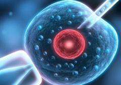 上海市试管婴儿包成功医院可信吗？真实情况公开