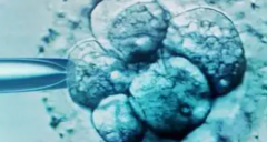 2026江西私立医院三代试管最新收费明细，公立医院费用也要提前了解