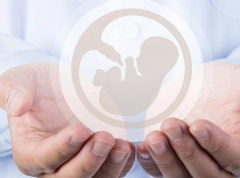 2026年深圳三代试管助孕费用，约10万到20万