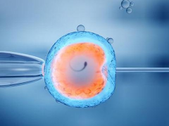 湖北武汉第三代试管助孕费用明细表，真实价格清单一览