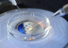 格鲁吉亚做三代试管婴儿的费用一览表