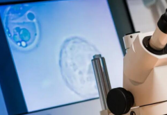 2026湖州试管助孕费用明细汇总：全部花销一文读懂