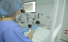 2026年顺德妇幼单身女性做试管婴儿费用明细表一览