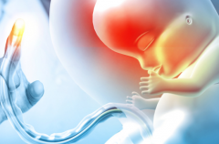 武汉市第三代试管婴儿价格是多少？详细收费与流程一览