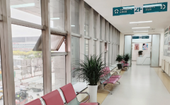 2026大连市试管婴儿私立医院前十名排名榜单(详细费用清单曝光)