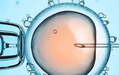 在湖北做第三代试管婴儿大概多少费用（2026版）具体明细参考一览