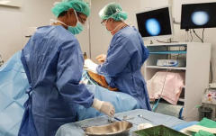 辽宁私立试管婴儿医院排名最新（2026辽宁值得信赖的私立医院排名前五