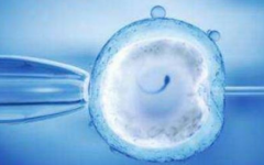 河北燕达医院未婚女性试管婴儿成功率怎么样？