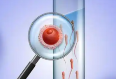 2026年贵州省贵阳市三代试管包成功是骗局吗？附详细流程与必须注意的