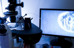 广州三大助孕公司是哪三家，快来看看热门榜单