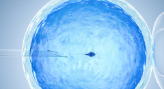 2026年重庆三代试管婴儿花费解析，附省钱方法