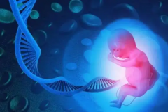 南京私立医院试管机构权威排名榜：TOP10揭晓（附成功率数据）