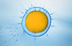 2026年陕西西安三代试管大概多少钱？附助孕流程费用明细表