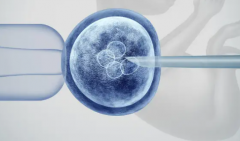 2026合肥市三代试管婴儿费用标准详情公开