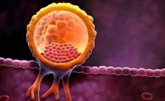 贵阳市三代试管包成功必看！2026医院选择及流程攻略