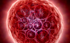 在南京做第三代试管婴儿助孕，2026年价格参考及费用预估